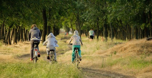 La pratique du vélo rend-elle vraiment les enfants intelligents ?